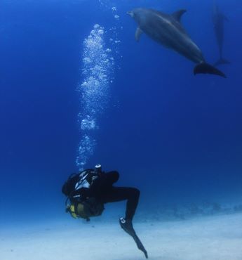 QU’ATTENDRE D’UN JOUR D’EXCURSION SNORKELING?